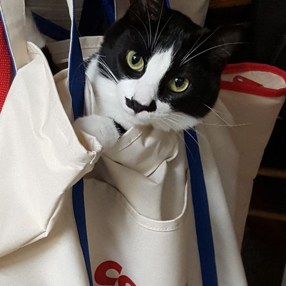 Meet your Posher, Lesa